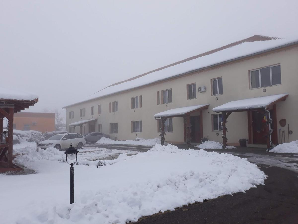 Vila Zoppas Inn Sînnicolau Mare Buitenkant foto