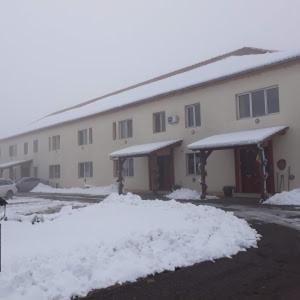 Vila Zoppas Inn Sînnicolau Mare Buitenkant foto